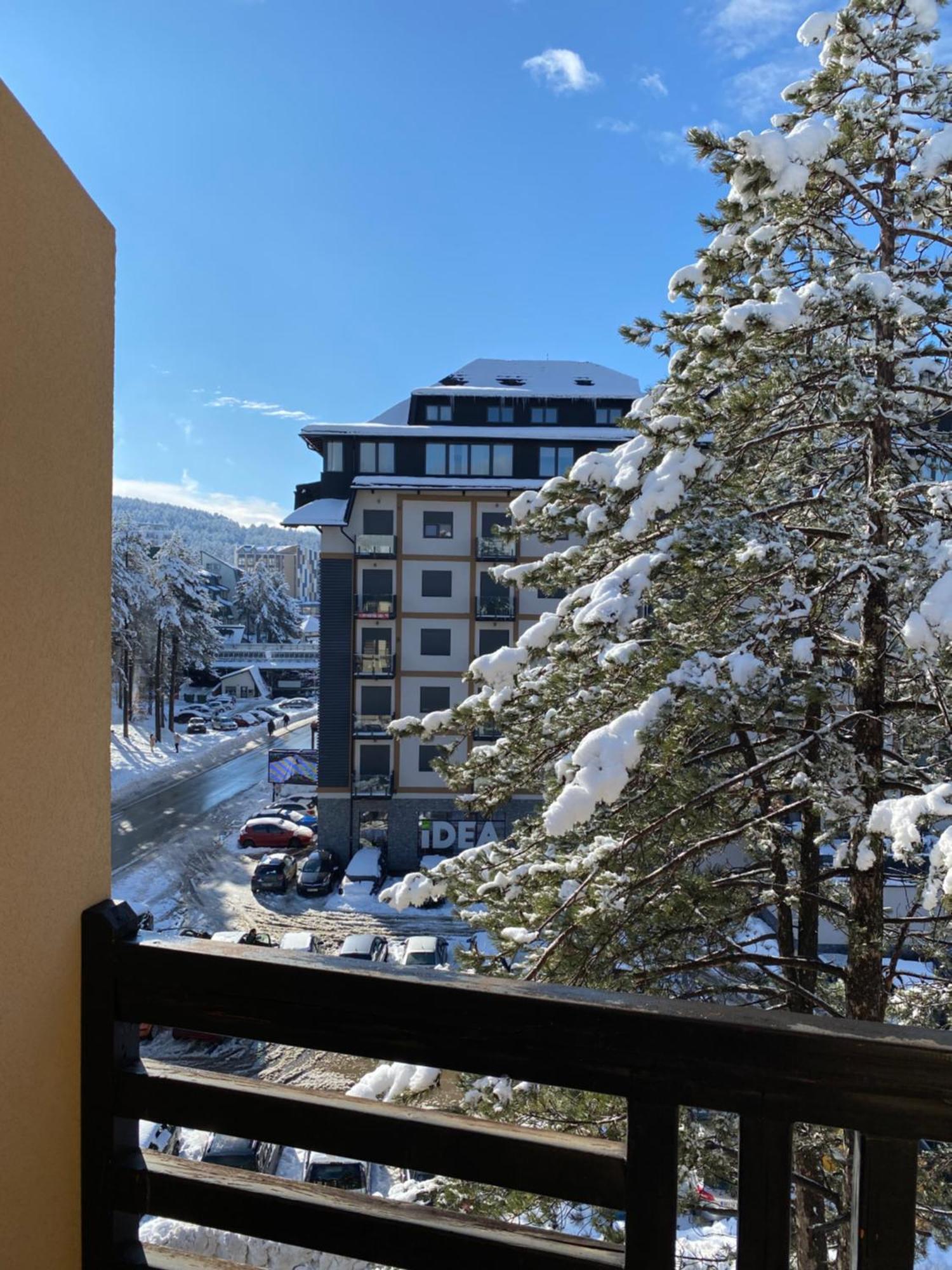 55 * Zlatibor